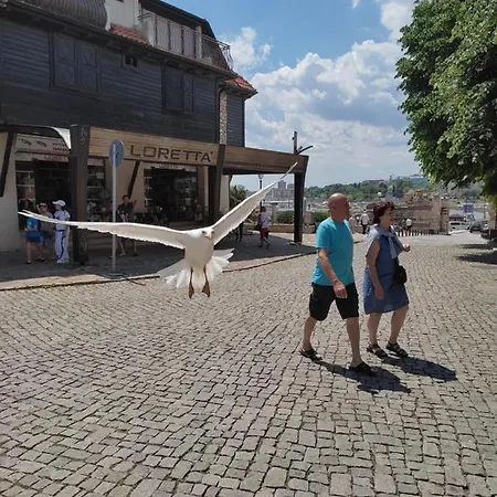 Prestige Private Apartment-studio 46 Свети-Влас