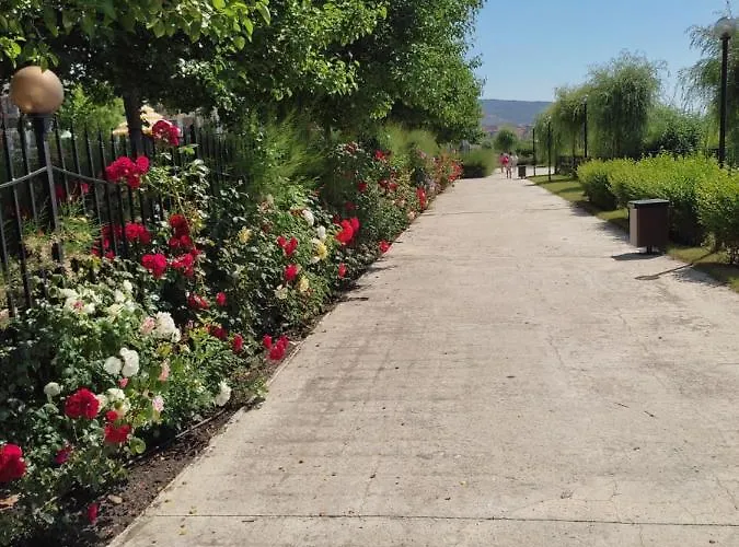 Prestige Private Apartment-studio 46 Апартамент Свети Влас