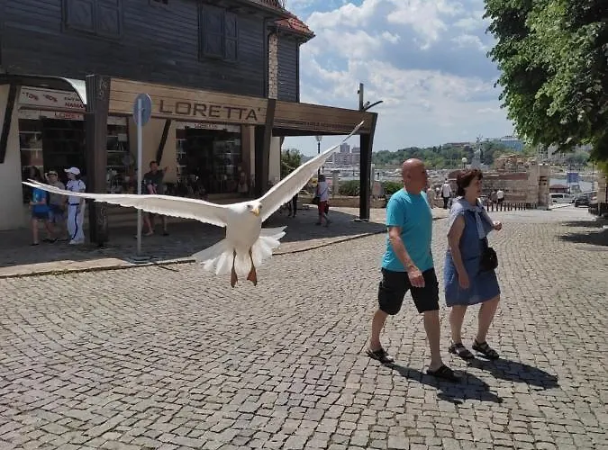 Prestige Private Apartment-studio 46 Свети Влас