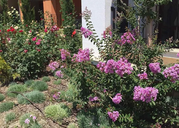 Prestige Private Apartment-studio 46 Свети Влас